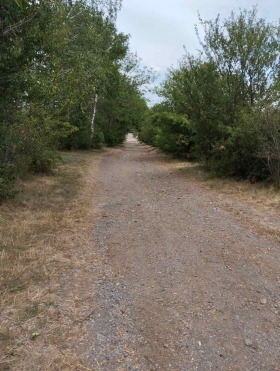 ������ ������� ������