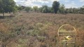 Продава ПАРЦЕЛ, гр. Димитровград, област Хасково, снимка 4