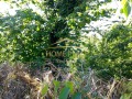 Продава ПАРЦЕЛ, град Варна, м-т Зеленика • 228000 € • 70610443 — Holmes.bg