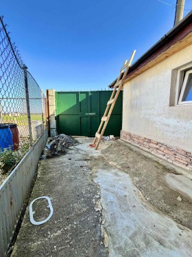 Hus Bezvoditsa, region Dobrich 6