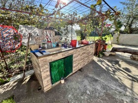 Hus Bezvoditsa, region Dobrich 5