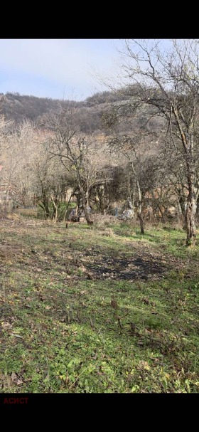 ����� ������� ������,�. ��������, ������ �����