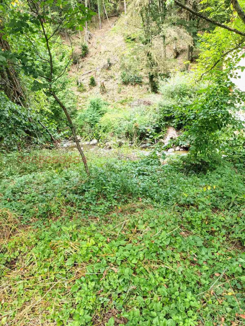 Продава КЪЩА, с. Рибарица, област Ловеч, снимка 5 - Къщи - 52784575