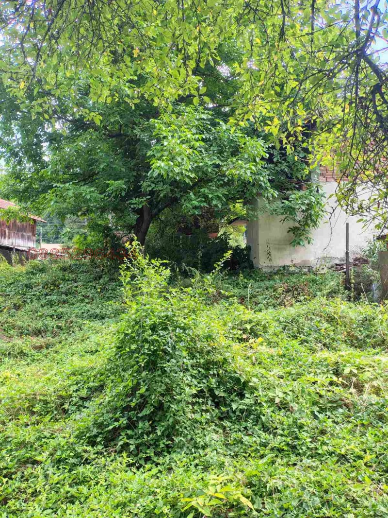 Продава КЪЩА, с. Рибарица, област Ловеч, снимка 4 - Къщи - 52784575