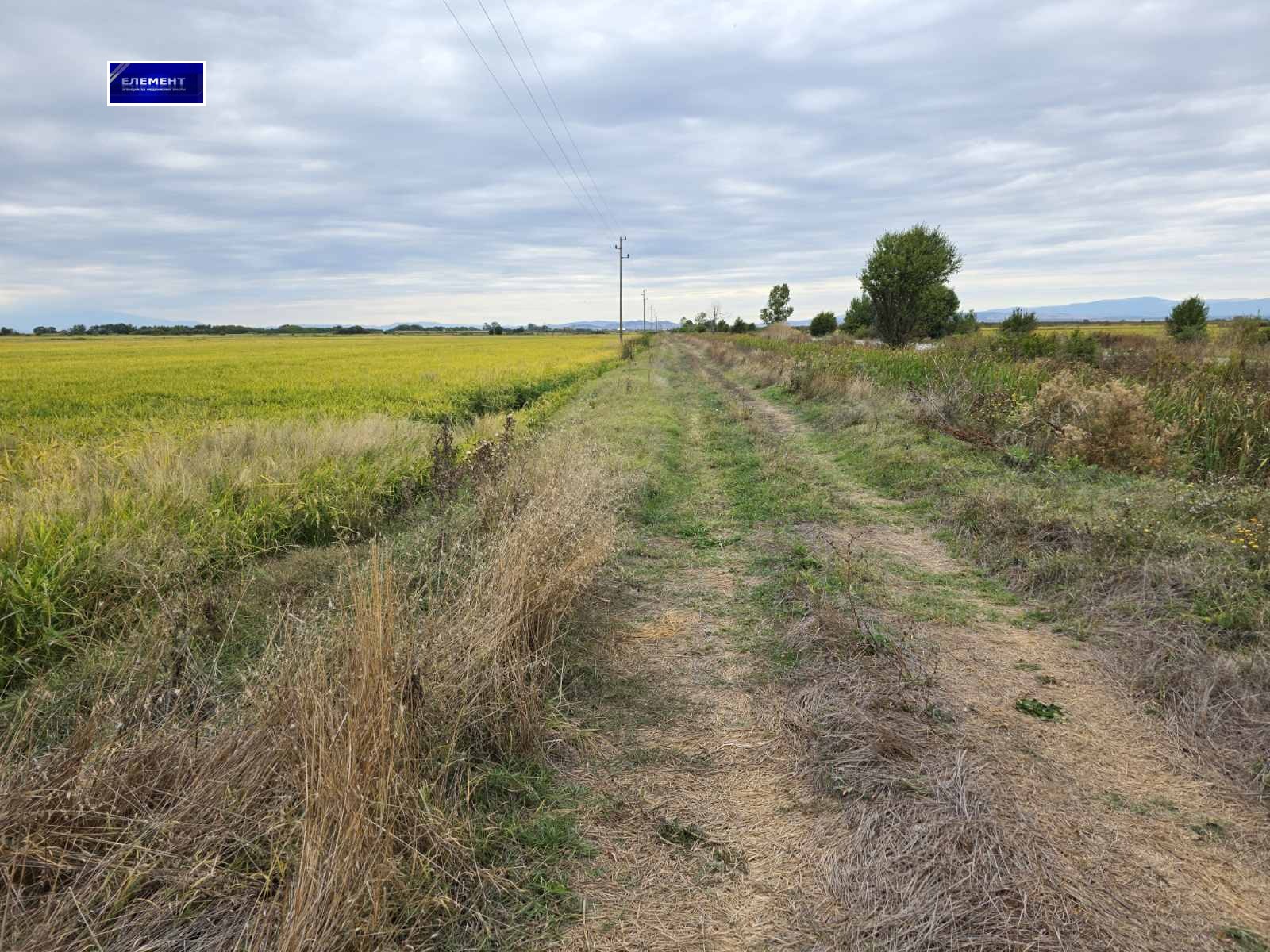 Продава  Парцел област Пловдив , магистрала Тракия , 57000 кв.м | 35514015