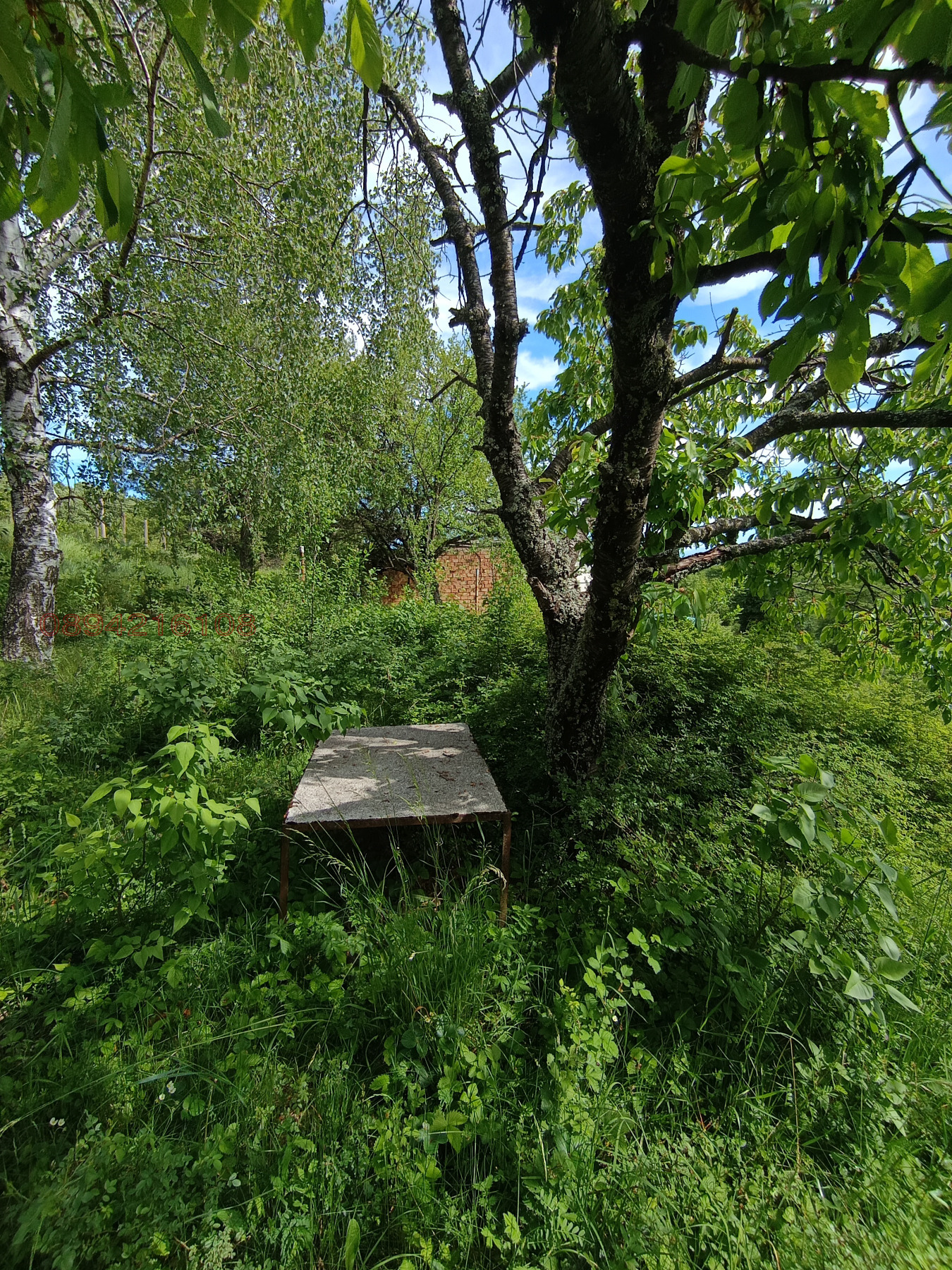 Продава ПАРЦЕЛ, с. Царичина, област София област, снимка 4 - Парцели - 54817367
