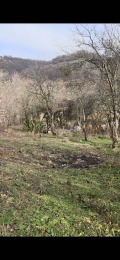 Продава ПАРЦЕЛ, с. Брестака, област София област, снимка 2