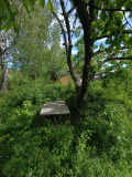 Продава ПАРЦЕЛ, с. Царичина, област София област, снимка 4