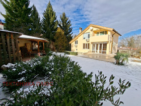 ������ ������� ����