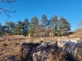 Продава КЪЩА, с. Долец, област Търговище, снимка 3