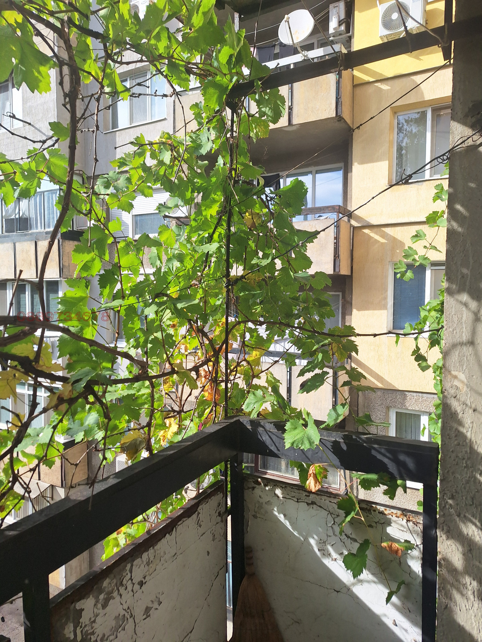 ������� 3-����� | Imot.bg � ����������� 6