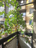 Продава  3-стаен град Русе , Здравец Изток , 80 кв.м | 37631883 - изображение [6]