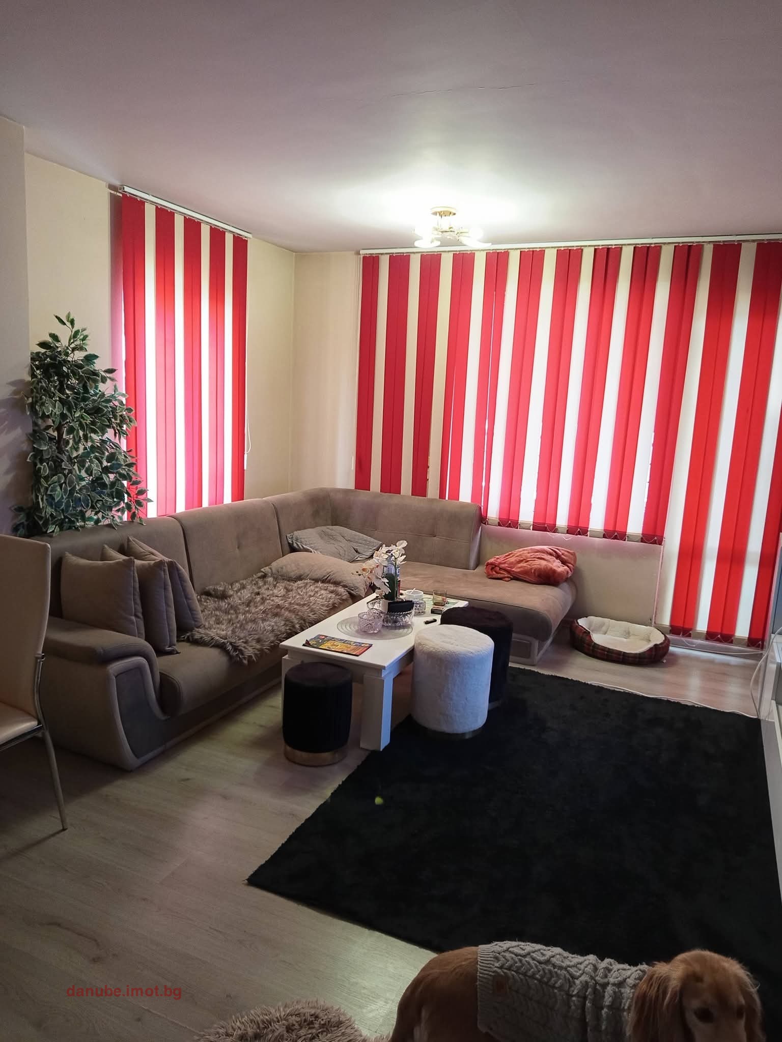 ������� 2-����� | Imot.bg � ����������� 1