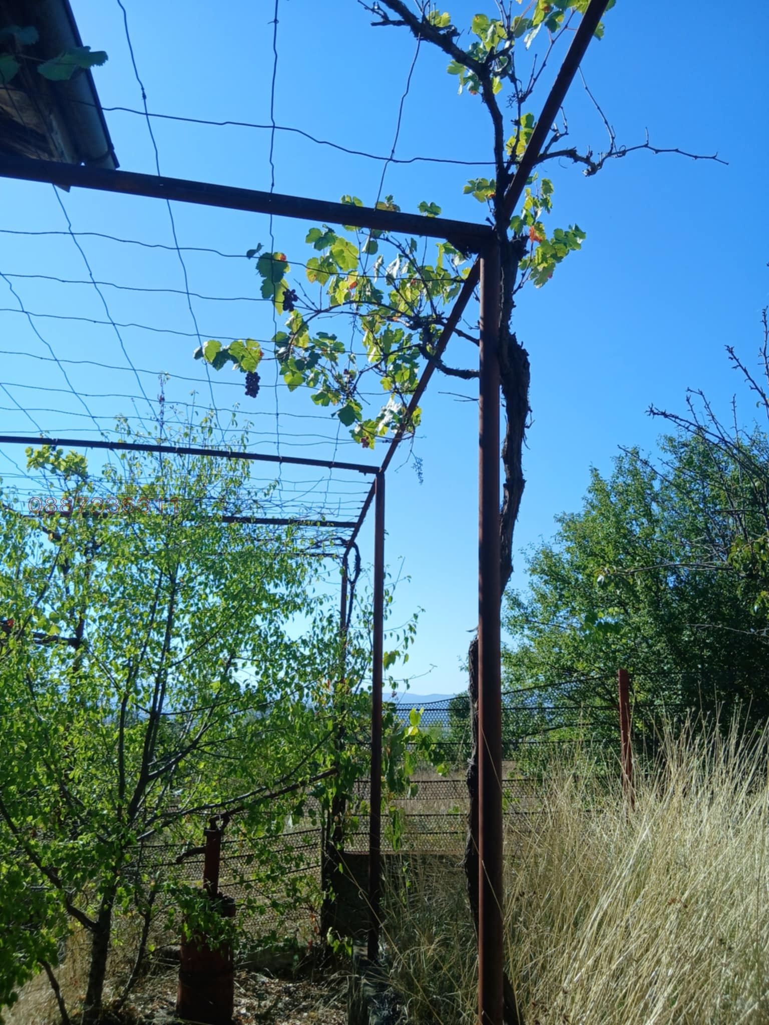 ������� ���� | Imot.bg � ����������� 8