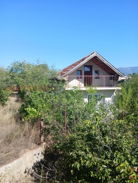 ����� ������� ����,��. ��������, ������ ����� ������