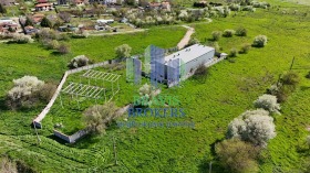 ����� ������� �����,�. ��������, ������ �����