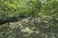 Продава КЪЩА, с. Рударци, област Перник, снимка 3