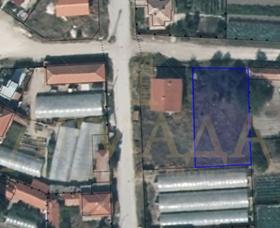 Продажба на парцели в област Пловдив - изображение 6 