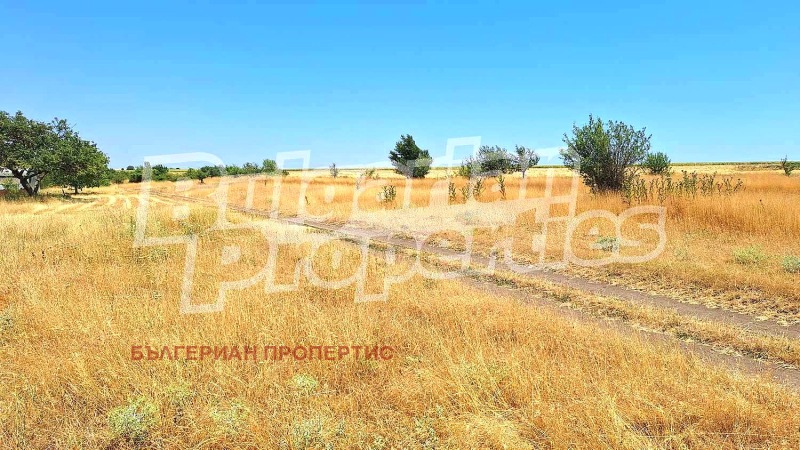 Продава  Къща област Варна , с. Просечен , 57 кв.м | 87709833 - изображение [11]