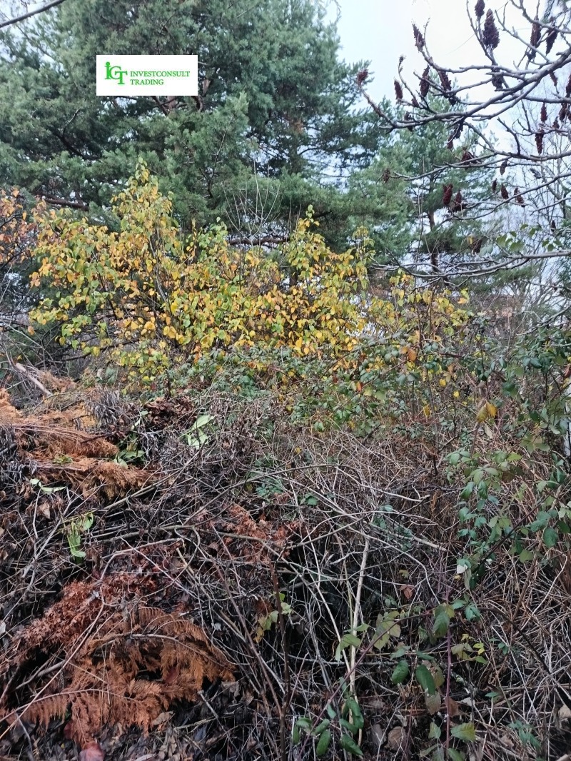 Продава ПАРЦЕЛ, гр. София, Симеоново, снимка 12 - Парцели - 52691109