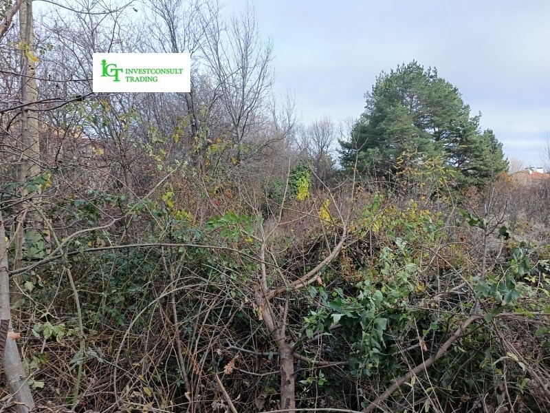 Продава ПАРЦЕЛ, гр. София, Симеоново, снимка 7 - Парцели - 52691109