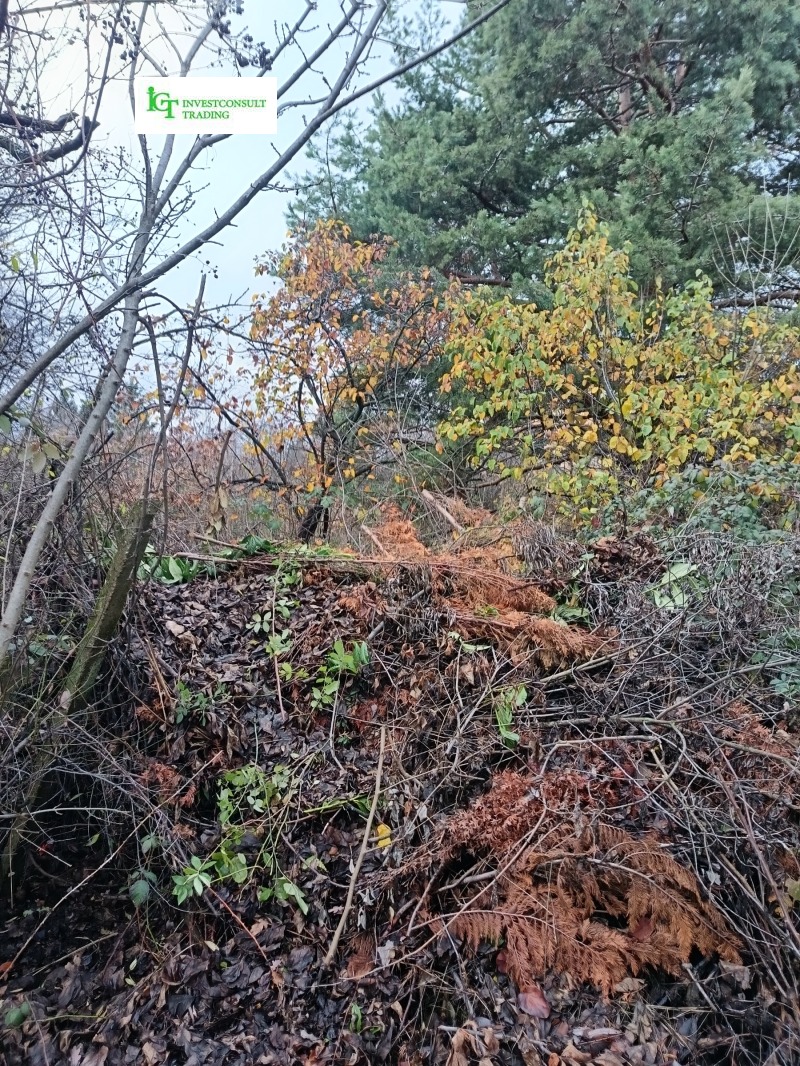 Продава ПАРЦЕЛ, гр. София, Симеоново, снимка 13 - Парцели - 52691109