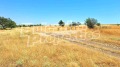 Продава КЪЩА, област Варна, с. Просечен • 25000 € • 10380668 — Holmes.bg