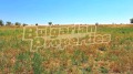 Продава КЪЩА, област Варна, с. Просечен • 25000 € • 10380668 — Holmes.bg