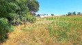 Продава КЪЩА, област Варна, с. Просечен • 25000 € • 10380668 — Holmes.bg
