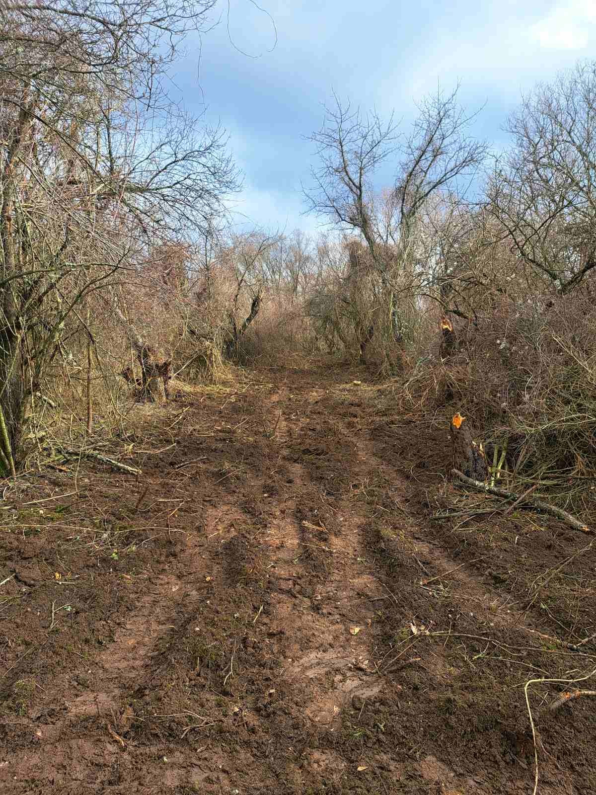 Продава ПАРЦЕЛ, с. Старо село, област Перник, снимка 3 - Парцели - 53786393