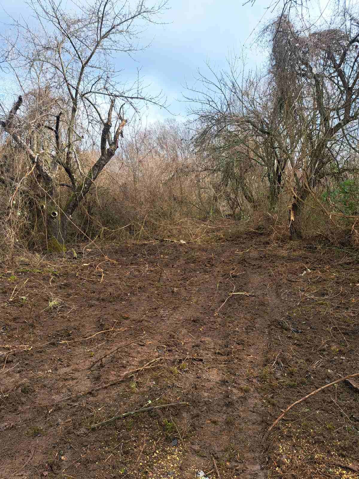 Продава ПАРЦЕЛ, с. Старо село, област Перник, снимка 2 - Парцели - 53786393