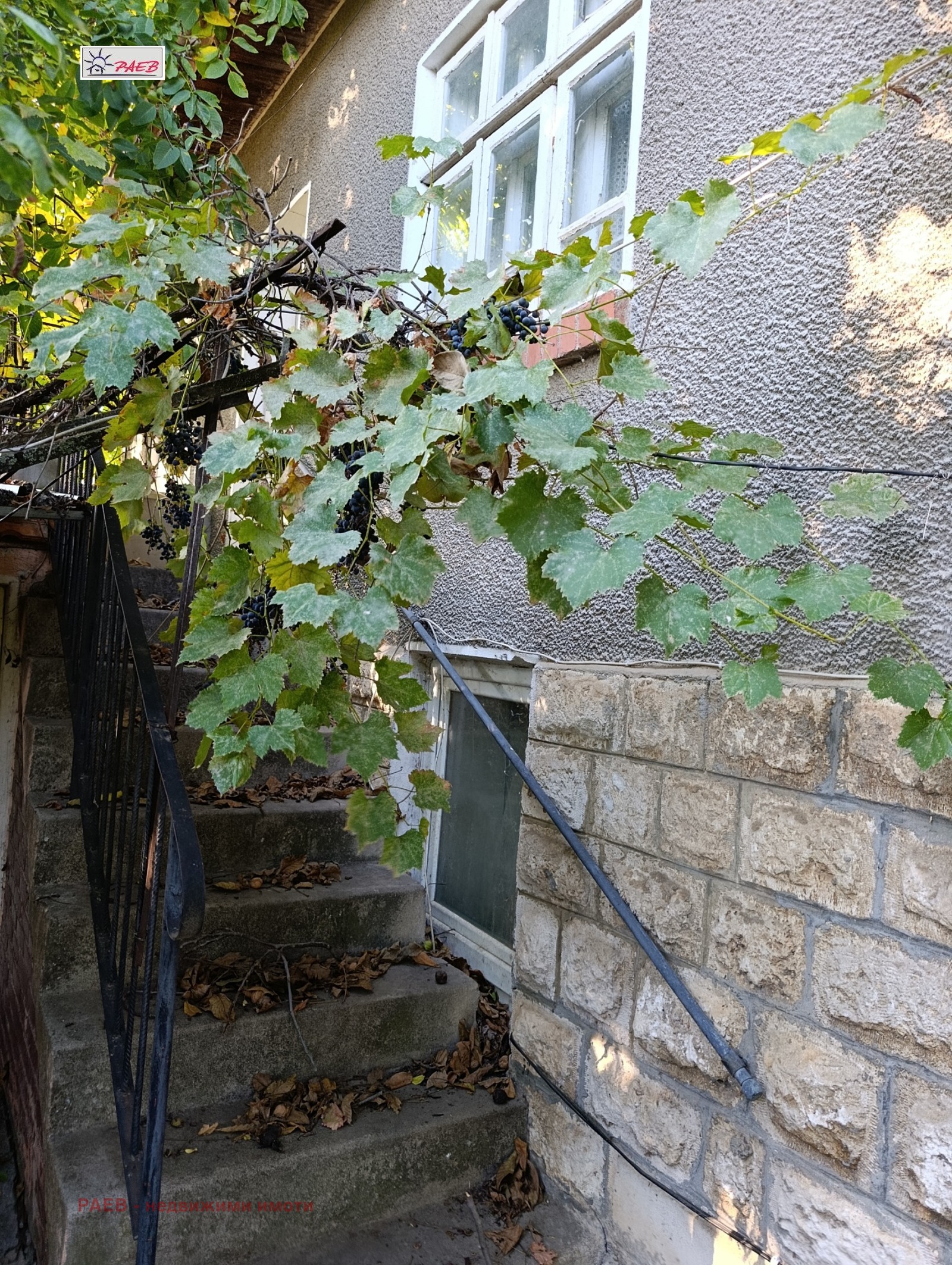 ������� ���� | Imot.bg � ����������� 3