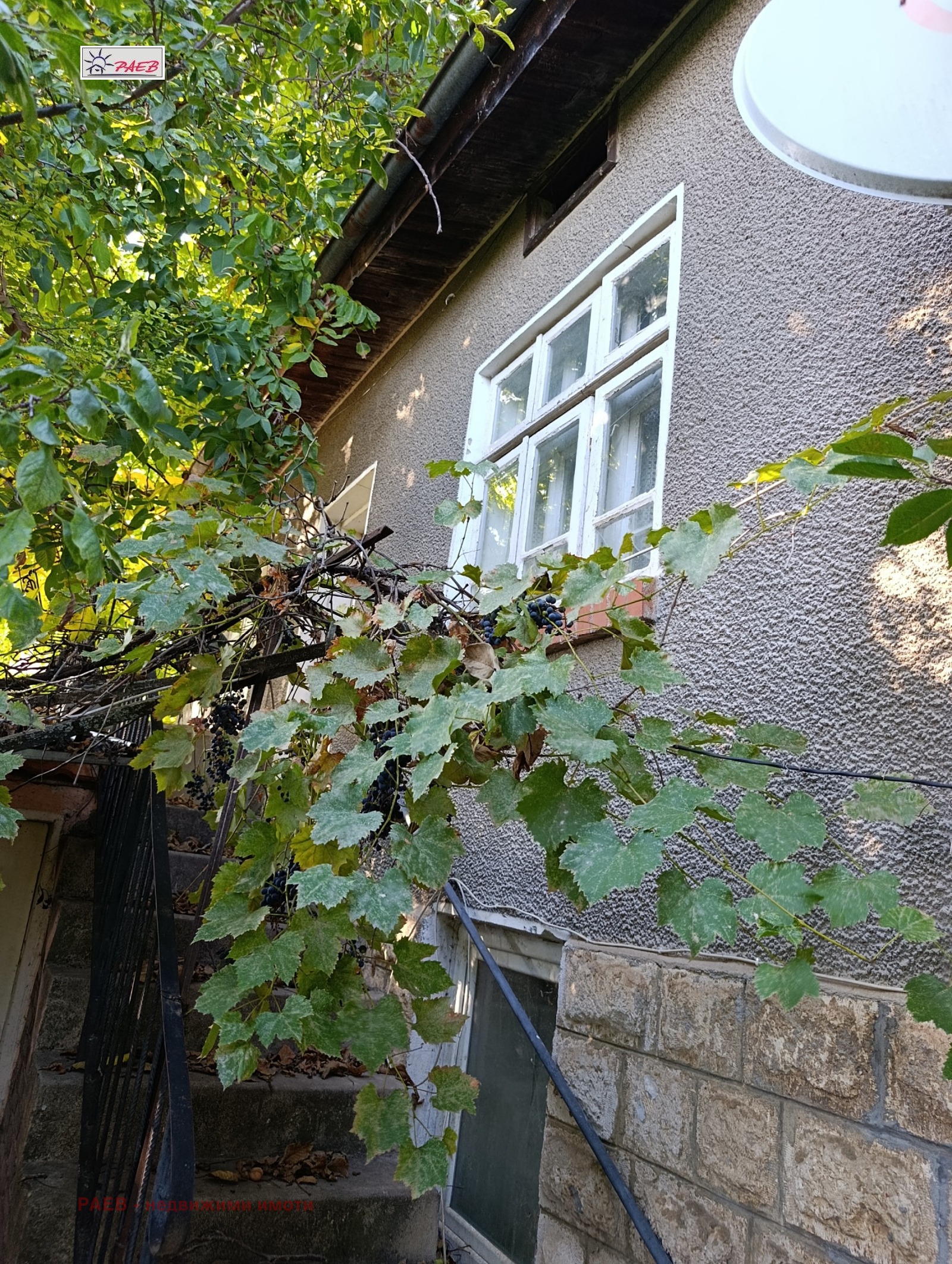 ������� ���� | Imot.bg � ����������� 1