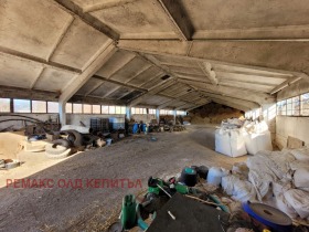 ������� ����. ��������� | Imot.bg � ����� ������ 7