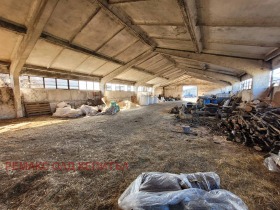 ������� ����. ��������� | Imot.bg � ����� ������ 5