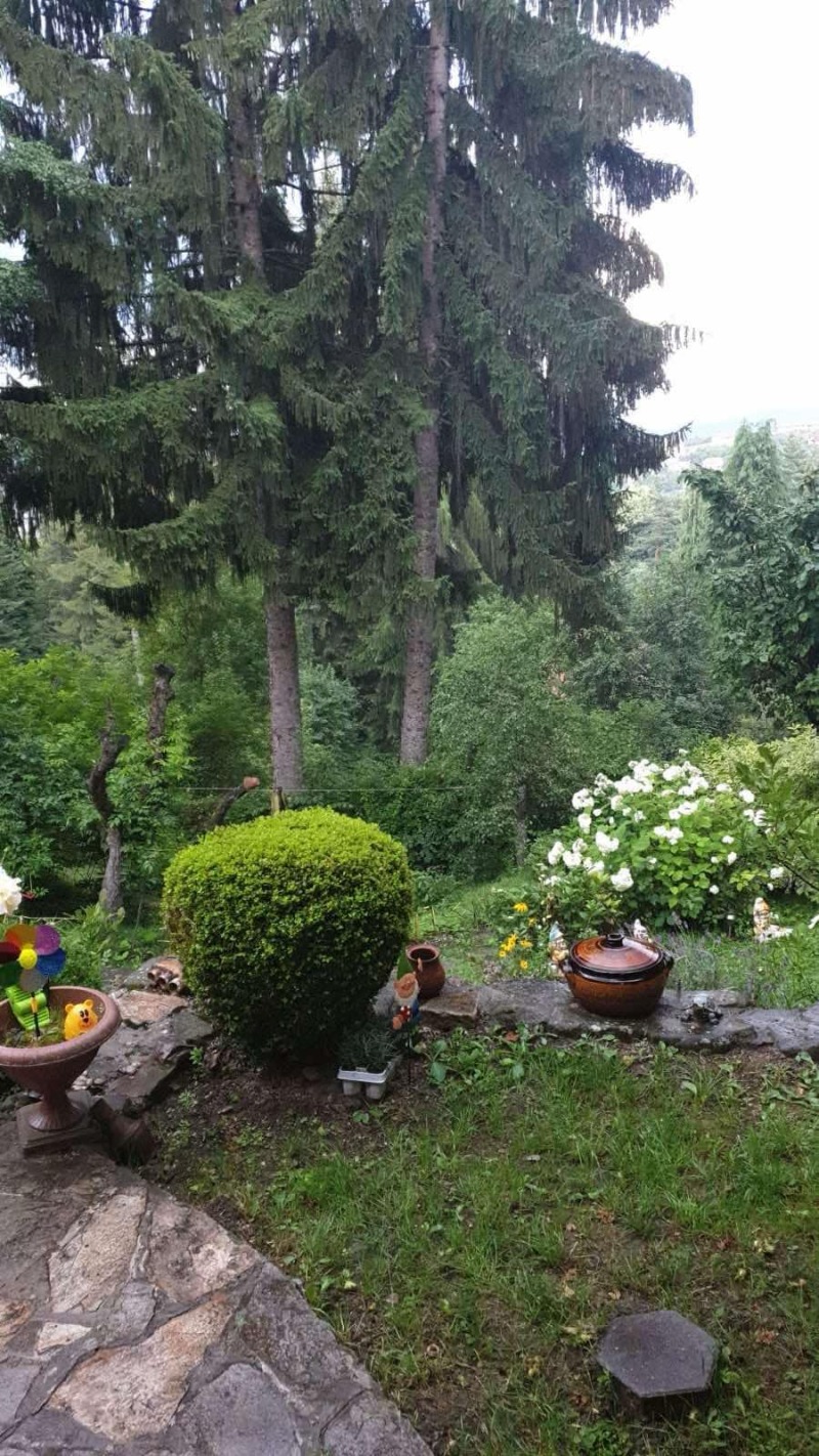 Till salu  Hus Sofia , Bistrica , 60 kvm | 83230858 - bild [13]