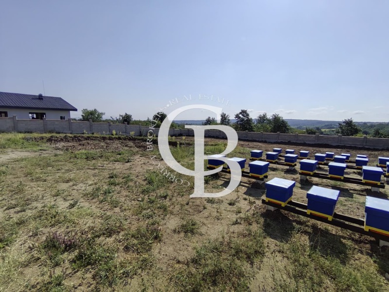 Na prodej  Spiknutí Varna , Zvezdica , 1105 m2 | 39567214 - obraz [3]