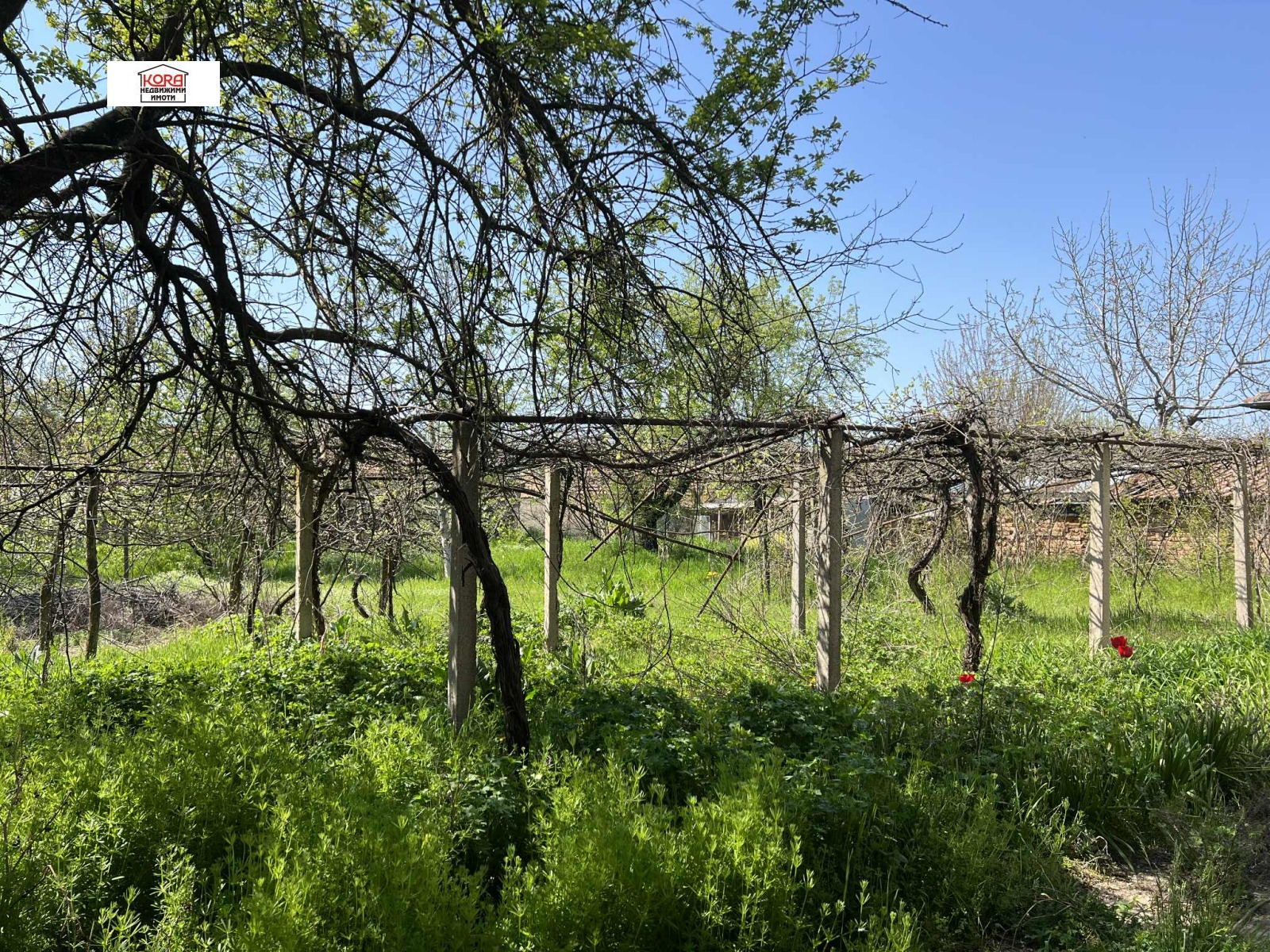 Продава КЪЩА, гр. Тръстеник, област Плевен, снимка 11 - Къщи - 48291124