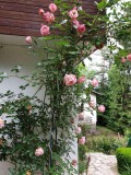 Продава КЪЩА, град София, с. Бистрица • 249500 € • 90746713 — Holmes.bg