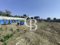 Продава ПАРЦЕЛ, град Варна, с. Звездица • 135000 € • 38338197 — Holmes.bg