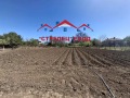 Продава КЪЩА, област Добрич, с. Козлодуйци • 55000 лв. • 55323791 — Holmes.bg