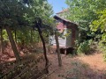 Продава КЪЩА, област Ловеч, с. Александрово • 17200 € • 84543854 — Holmes.bg