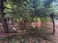 Продава КЪЩА, област Ловеч, с. Александрово • 17200 € • 84543854 — Holmes.bg