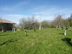 Hus Goljama Sjeljazna, region Lovech 5
