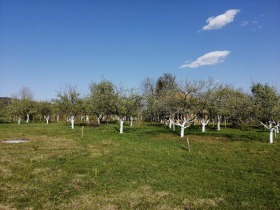 Hus Goljama Sjeljazna, region Lovech 8