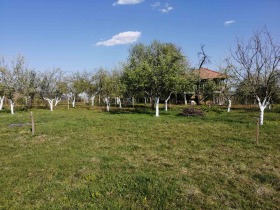 Hus Goljama Sjeljazna, region Lovech 7