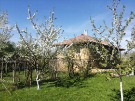 Hus Goljama Sjeljazna, region Lovech 6