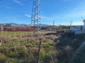 ����� ������� ������,���� ��������, ���������