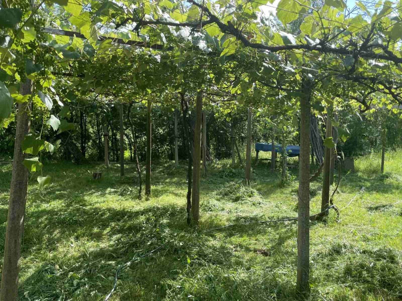 Til salgs  Hus region Lovech , Goljama Sjeljazna , 160 kvm | 78645277 - bilde [10]