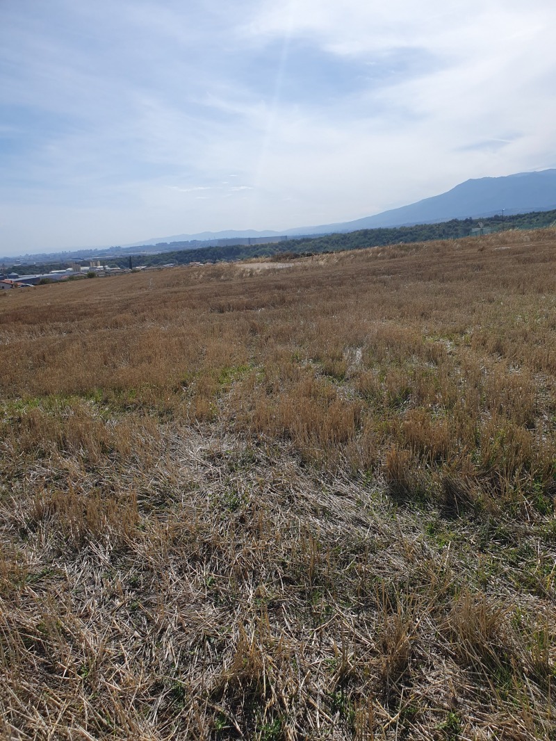 For Sale  Plot region Sofia , Gurmazovo , 750 sq.m | 83963730 - image [3]